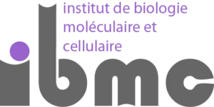 Institute of Molecular and Cell Biology