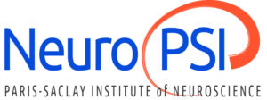 Institut des Neurosciences Paris-Saclay