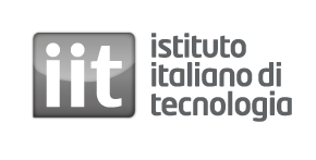 Italian Institute of Technology