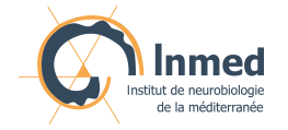 Institute of Mediterranean Neurobiology