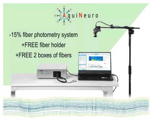 Soldes d’Été 2025: Photométrie