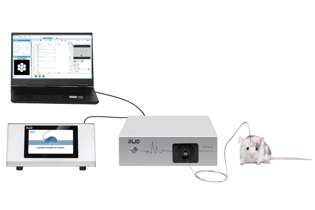 Fiber Photometry Recording System